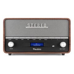 Audizio Retro Horn DAB+ raadio hind ja info | Raadiod ja äratuskellad | kaup24.ee