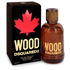Dsquared² Wood tualettvesi hind ja info | Naiste parfüümid | kaup24.ee