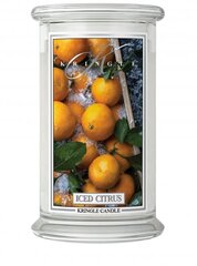 Свеча Kringle Candle Iced Citrus, 623 г цена и информация | Свечи, подсвечники | kaup24.ee
