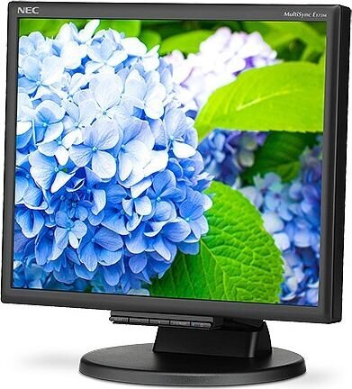 NEC 60005020 цена и информация | Monitorid | kaup24.ee