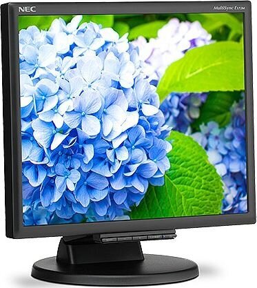 NEC 60005020 цена и информация | Monitorid | kaup24.ee