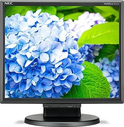 NEC 60005020 цена и информация | Monitorid | kaup24.ee