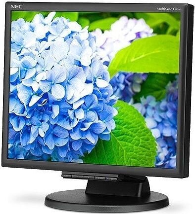 NEC 60005020 цена и информация | Monitorid | kaup24.ee