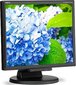 NEC 60005020 цена и информация | Monitorid | kaup24.ee