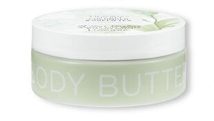 Victoria's Secret Cucumber & Green Tea elustav kehavõi, 255 gr hind ja info | Kehakreemid, kehaspreid | kaup24.ee