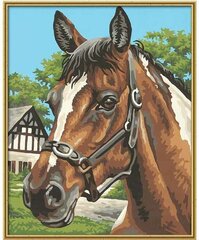 Картина по номерам Schipper KIDS Horse Portrait MNZ, 24 х 30 см цена и информация | Живопись по номерам | kaup24.ee