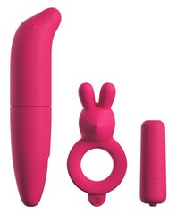 Sekstoodete komplekt Classix Couples Vibrating Starter Kit hind ja info | Sekslelude komplektid | kaup24.ee