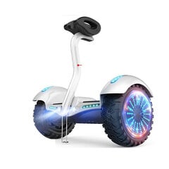 Elektrilise tasakaalu auto/tõukeratta Aerlang S11U 54V 10inch LED bluetooth Muusika 15km IPX4 hind ja info | Nutiseadmed ja aksessuaarid | kaup24.ee