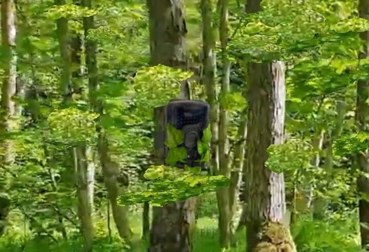 Kaamera Trap Forest Camera 36M HC-350G Spy цена и информация | Jahindustarbed | kaup24.ee