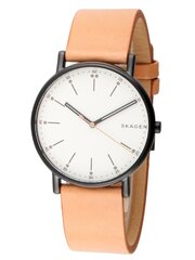 Skagen Signatur meeste käekell цена и информация | Мужские часы | kaup24.ee