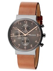 Мужские часы Skagen Ancher цена и информация | Мужские часы | kaup24.ee