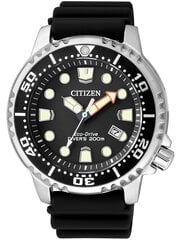 Citizen Стандартный женский кварц EU6092-59E цена и информация | Мужские часы | kaup24.ee