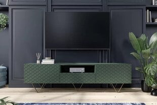 ТВ столик Bogart Scalia 2K1SZ, зеленый цена и информация | Тумбы под телевизор | kaup24.ee
