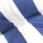 vidaXL euroaluse istmepadjad, 2 tk, sinise/valge triibuline, kangas цена и информация | Toolipadjad ja -katted | kaup24.ee