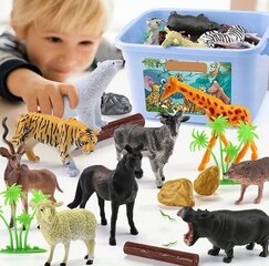 Mängufiguuride komplekt Doris Safari Zoo, 58 tk. hind ja info | Arendavad mänguasjad | kaup24.ee
