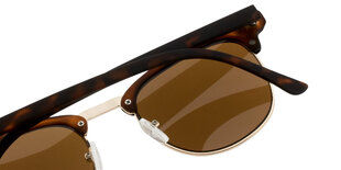 Мужские солнцезащитные очки Cairo коричневое стекло цена и информация | Солнцезащитные очки для мужчин | kaup24.ee