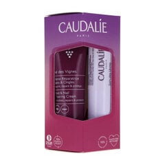 Käte- ja huulehoolduskomplekt Caudalie Duo: käte- ja küünekreem viinamarja tee 30 ml + huulepalsam 4,5 g hind ja info | Kehakreemid, kehaspreid | kaup24.ee