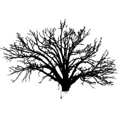 Must vinüülist seinakleebis Suur puu – 160 x 116 cm hind ja info | Seinakleebised | kaup24.ee