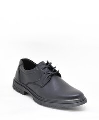 Выходные туфли для мужчин, TF'S 16209325.45 цена и информация | Мужские ботинки | kaup24.ee