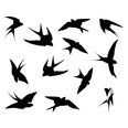 Vinüül seinakleebised lendavad linnud - 12 tk.