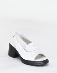 Naiste sandaalid Laura Berti 23932102.41 hind ja info | Naiste sandaalid | kaup24.ee
