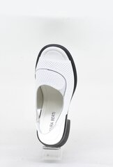 Naiste sandaalid Laura Berti 23932102.41 hind ja info | Naiste sandaalid | kaup24.ee