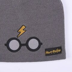 Laste müts Harry Potter Hall (Üks suurus) hind ja info | Laste ja beebide riided, jalanõud | kaup24.ee
