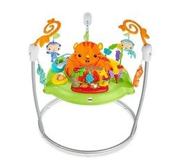 Спортивный центр Fisher Price Jumperoo Jumper Jungle цена и информация | Игрушки для малышей | kaup24.ee