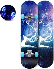 Rula Aoli Skateboard LED, 80 cm цена и информация | Скейтборды | kaup24.ee