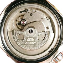 Часы Orient Automatic RA-AA0B03L19B RA-AA0B03L19B цена и информация | Мужские часы | kaup24.ee