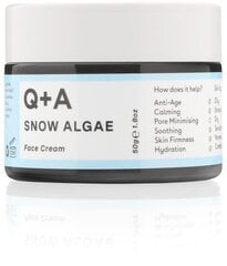 Q + A Intensiivne näokreem Snow Algae, 50g цена и информация | Кремы для лица | kaup24.ee