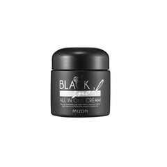 Крем для лица с экстрактом черной улитки Mizon Black Snail All in One Cream, 75 мл цена и информация | Кремы для лица | kaup24.ee