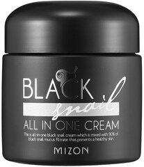 Крем для лица с экстрактом черной улитки Mizon Black Snail All in One Cream, 75 мл цена и информация | Кремы для лица | kaup24.ee