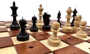 Шахматы для слабовидящих цена и информация | Настольные игры, головоломки | kaup24.ee