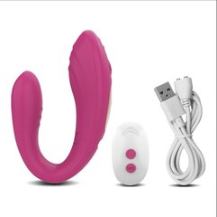 Wireless vibrator for couples цена и информация | Вибраторы | kaup24.ee