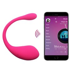 App Bluetooth Remote Video Control Vibrator цена и информация | Вибраторы | kaup24.ee