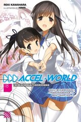 Accel World, Vol. 18 (light novel) цена и информация | Фантастика, фэнтези | kaup24.ee