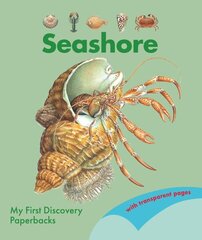 Seashore цена и информация | Книги для малышей | kaup24.ee