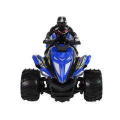 Quad Rock Crawler Tricycle Remote Controlled 1:12 2.4G Blue hind ja info | Poiste mänguasjad | kaup24.ee