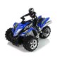 Quad Rock Crawler Tricycle Remote Controlled 1:12 2.4G Blue цена и информация | Poiste mänguasjad | kaup24.ee