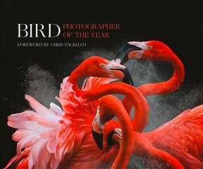 Bird Photographer of the Year: Collection 3 edition цена и информация | Книги по фотографии | kaup24.ee