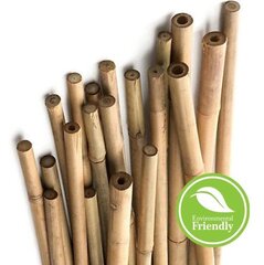 Taimetugi bambuskepp 120cm 12/14mm hind ja info | Vaasid, alused, redelid lilledele | kaup24.ee