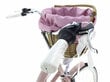 Naiste jalgratas Davi Amelia, 130-165 cm, 24", roosa цена и информация | Jalgrattad | kaup24.ee
