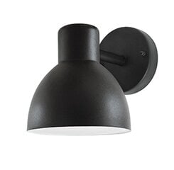 Настенный светильник Arne цена и информация | Настенные светильники | kaup24.ee