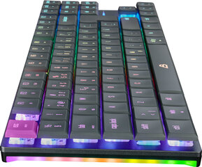 Blackstorm Flatline RGB TKL Dual Mode цена и информация | Клавиатуры | kaup24.ee