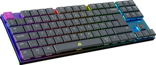 Blackstorm Flatline RGB TKL Dual Mode hind ja info | Klaviatuurid | kaup24.ee