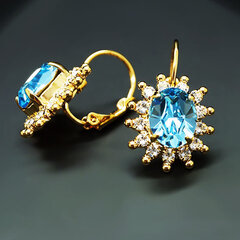 Swarovski kristallidega kaunistatud kõrvarõngad DiamondSky Ferro Aquamarine Blue hind ja info | Kõrvarõngad | kaup24.ee