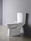 Kompaktne WC-pott KAIRO bideega POZNAŃSKI + kraan Daniel + prilllaud Slim SOLUZIONE + nurgaklapp 1/2x1/2 hind ja info | WС-potid | kaup24.ee