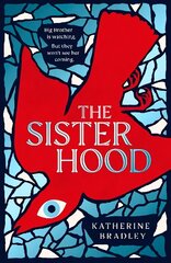 Sisterhood: Big Brother is watching. But they won't see her coming. hind ja info | Fantaasia, müstika | kaup24.ee