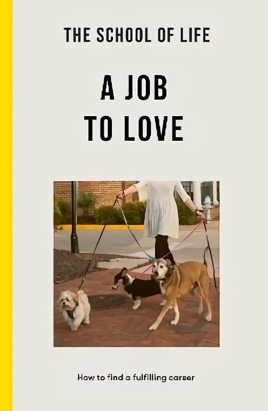 School of Life: A Job to Love: how to find a fulfilling career цена и информация | Eneseabiraamatud | kaup24.ee